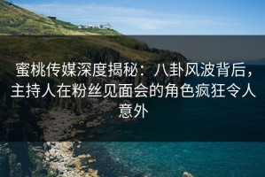 蜜桃传媒深度揭秘：八卦风波背后，主持人在粉丝见面会的角色疯狂令人意外