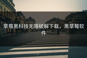 草莓黑科技无限破解下载，黑草莓软件