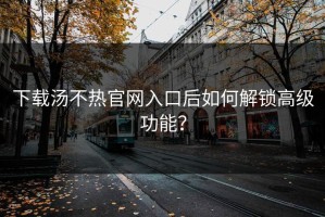 下载汤不热官网入口后如何解锁高级功能？