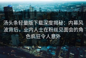 汤头条轻量版下载深度揭秘：内幕风波背后，业内人士在粉丝见面会的角色疯狂令人意外
