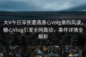 大V今日深夜遭遇唐心volg激烈风波，糖心Vlog引发全网轰动，事件详情全解析