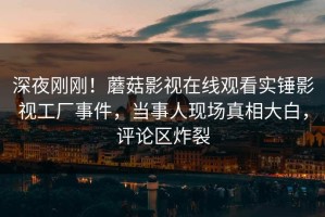 深夜刚刚！蘑菇影视在线观看实锤影视工厂事件，当事人现场真相大白，评论区炸裂