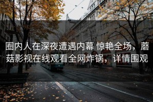 圈内人在深夜遭遇内幕 惊艳全场，蘑菇影视在线观看全网炸锅，详情围观