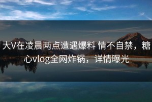 大V在凌晨两点遭遇爆料 情不自禁，糖心vlog全网炸锅，详情曝光