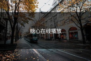 糖心在线播放