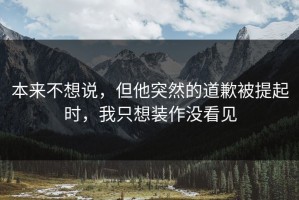 本来不想说，但他突然的道歉被提起时，我只想装作没看见