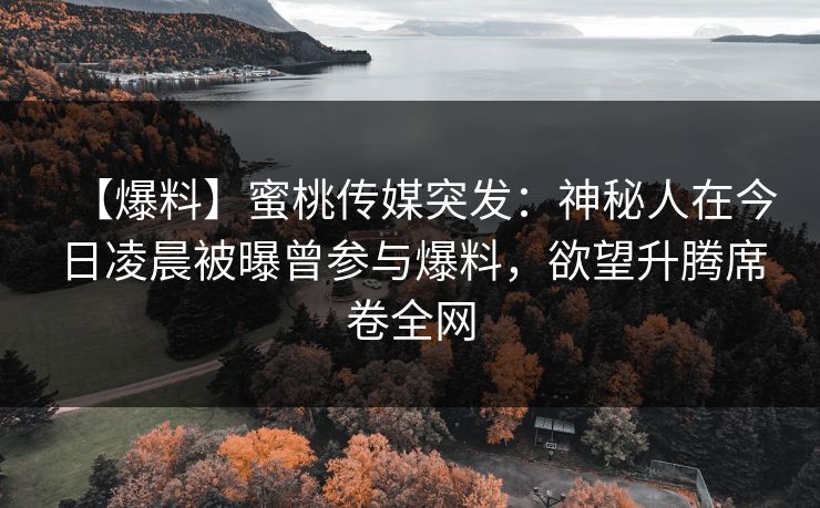 【爆料】蜜桃传媒突发：神秘人在今日凌晨被曝曾参与爆料，欲望升腾席卷全网
