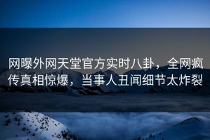 网曝外网天堂官方实时八卦，全网疯传真相惊爆，当事人丑闻细节太炸裂