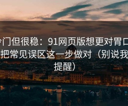 冷门但很稳：91网页版想更对胃口？先把常见误区这一步做对（别说我没提醒）