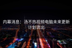 内幕消息：汤不热视频电脑未来更新计划流出