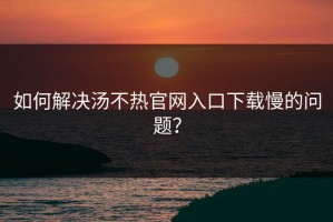 如何解决汤不热官网入口下载慢的问题？