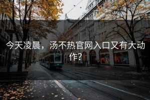 今天凌晨，汤不热官网入口又有大动作？