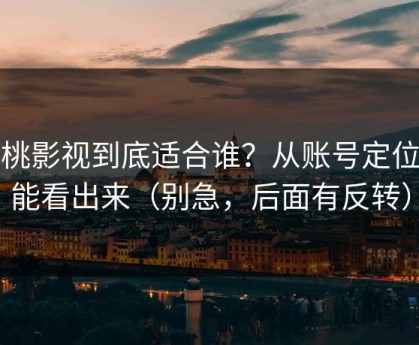 蜜桃影视到底适合谁？从账号定位就能看出来（别急，后面有反转）