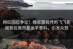 网红回应争议！微密圈疯传的飞飞影视背后竟然是出乎意料，引发众怒