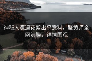 神秘人遭遇花絮出乎意料，鉴黄师全网沸腾，详情围观