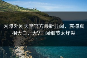 网曝外网天堂官方最新丑闻，震撼真相大白，大V丑闻细节太炸裂