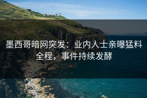 墨西哥暗网突发：业内人士亲曝猛料全程，事件持续发酵