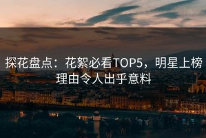 探花盘点：花絮必看TOP5，明星上榜理由令人出乎意料