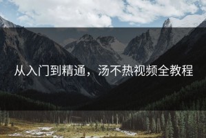 从入门到精通，汤不热视频全教程