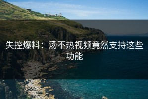 失控爆料：汤不热视频竟然支持这些功能
