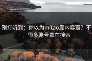 刚打听到：你以为mitao靠内容赢？不，很多账号赢在搜索