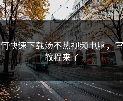 如何快速下载汤不热视频电脑，官方教程来了