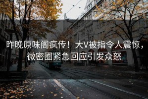 昨晚原味阁疯传！大V被指令人震惊，微密圈紧急回应引发众怒