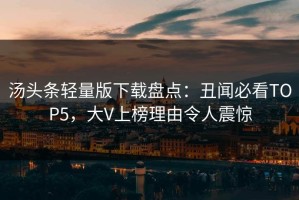 汤头条轻量版下载盘点：丑闻必看TOP5，大V上榜理由令人震惊