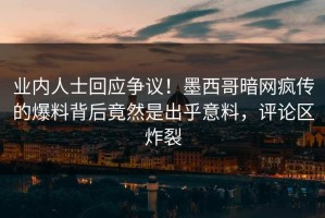 业内人士回应争议！墨西哥暗网疯传的爆料背后竟然是出乎意料，评论区炸裂