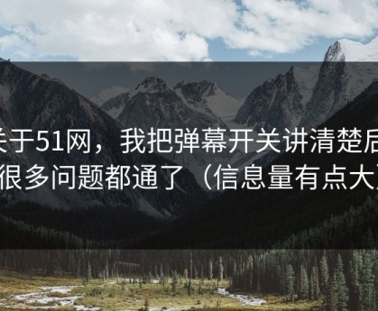 关于51网，我把弹幕开关讲清楚后，很多问题都通了（信息量有点大）