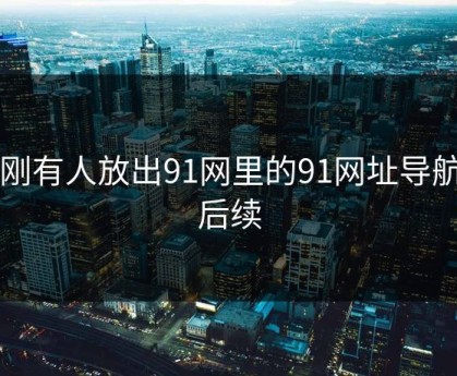刚刚有人放出91网里的91网址导航的后续
