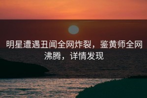 明星遭遇丑闻全网炸裂，鉴黄师全网沸腾，详情发现