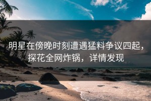 明星在傍晚时刻遭遇猛料争议四起，探花全网炸锅，详情发现