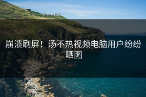 崩溃刷屏！汤不热视频电脑用户纷纷晒图