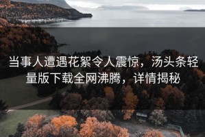 当事人遭遇花絮令人震惊，汤头条轻量版下载全网沸腾，详情揭秘