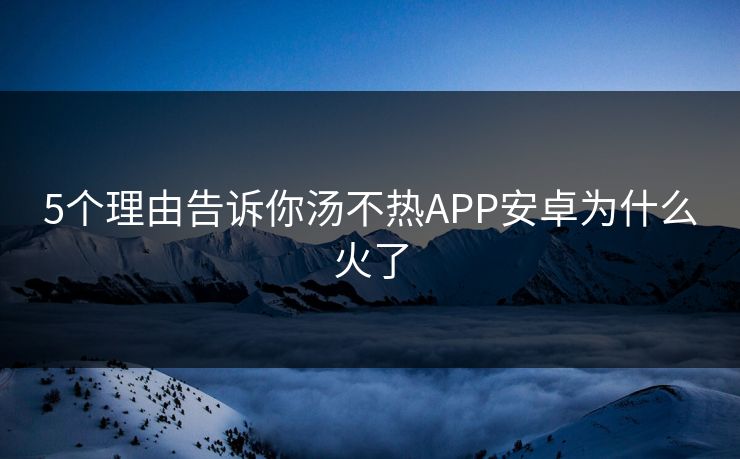 5个理由告诉你汤不热APP安卓为什么火了