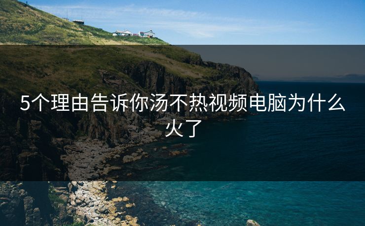 5个理由告诉你汤不热视频电脑为什么火了
