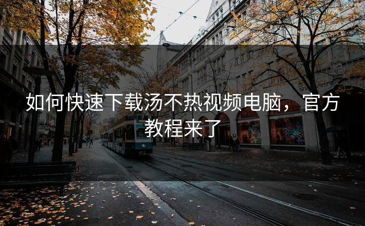 如何快速下载汤不热视频电脑，官方教程来了
