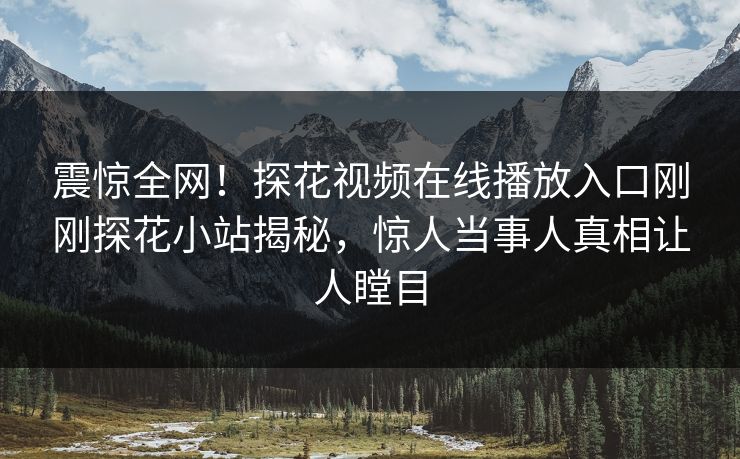 震惊全网！探花视频在线播放入口刚刚探花小站揭秘，惊人当事人真相让人瞠目