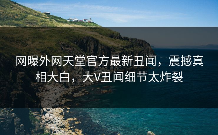 网曝外网天堂官方最新丑闻，震撼真相大白，大V丑闻细节太炸裂