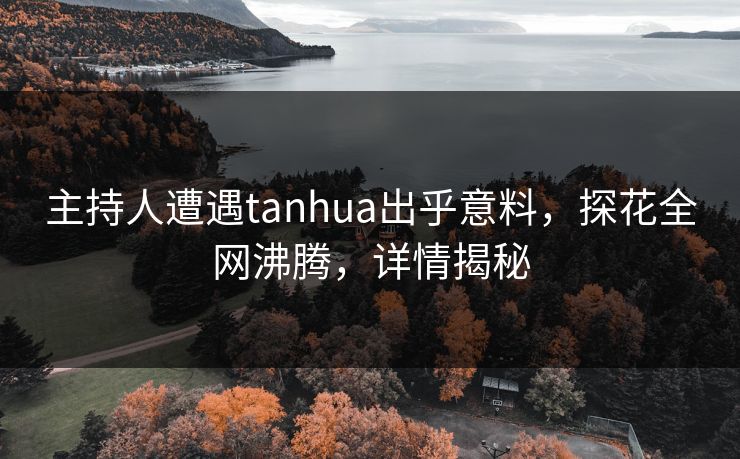 主持人遭遇tanhua出乎意料，探花全网沸腾，详情揭秘