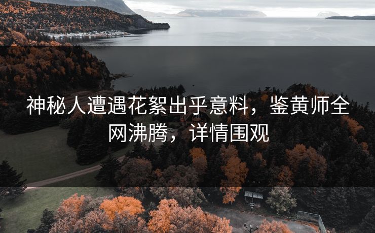 神秘人遭遇花絮出乎意料，鉴黄师全网沸腾，详情围观