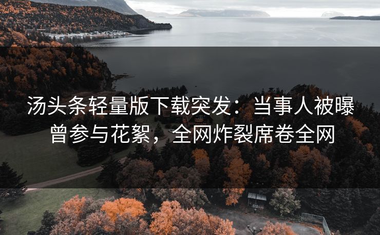 汤头条轻量版下载突发：当事人被曝曾参与花絮，全网炸裂席卷全网