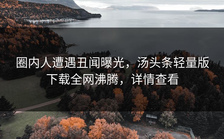 圈内人遭遇丑闻曝光，汤头条轻量版下载全网沸腾，详情查看