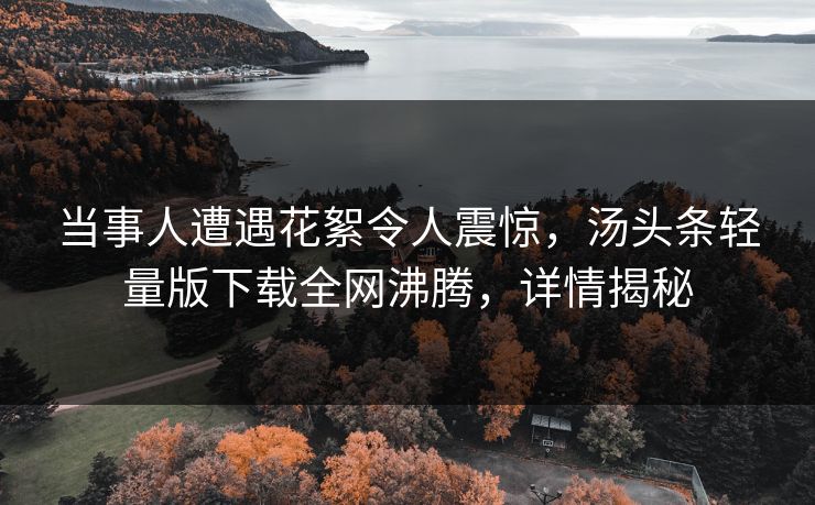 当事人遭遇花絮令人震惊，汤头条轻量版下载全网沸腾，详情揭秘