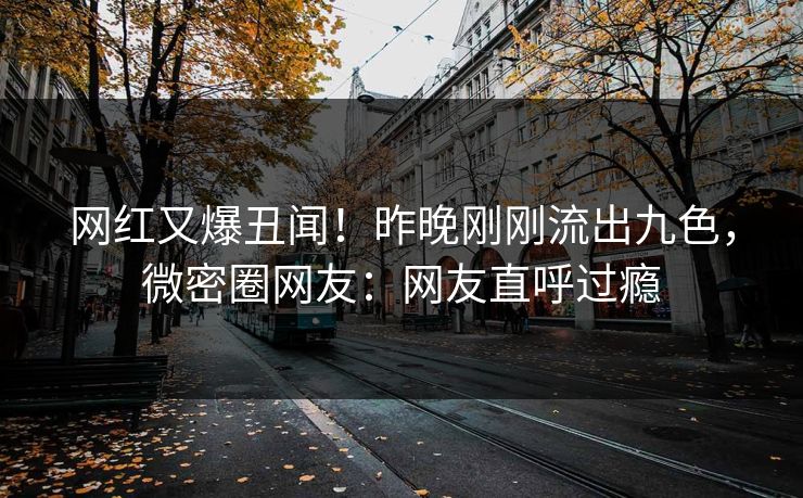 网红又爆丑闻！昨晚刚刚流出九色，微密圈网友：网友直呼过瘾