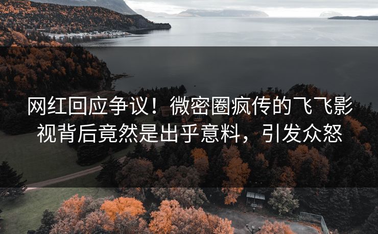 网红回应争议！微密圈疯传的飞飞影视背后竟然是出乎意料，引发众怒