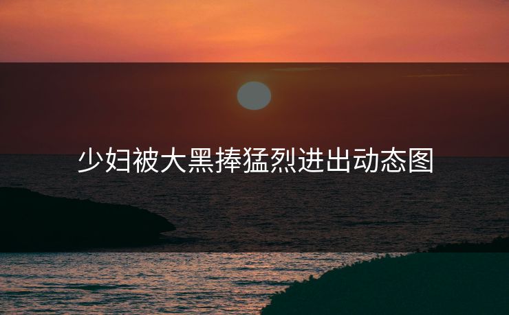 少妇被大黑捧猛烈进出动态图